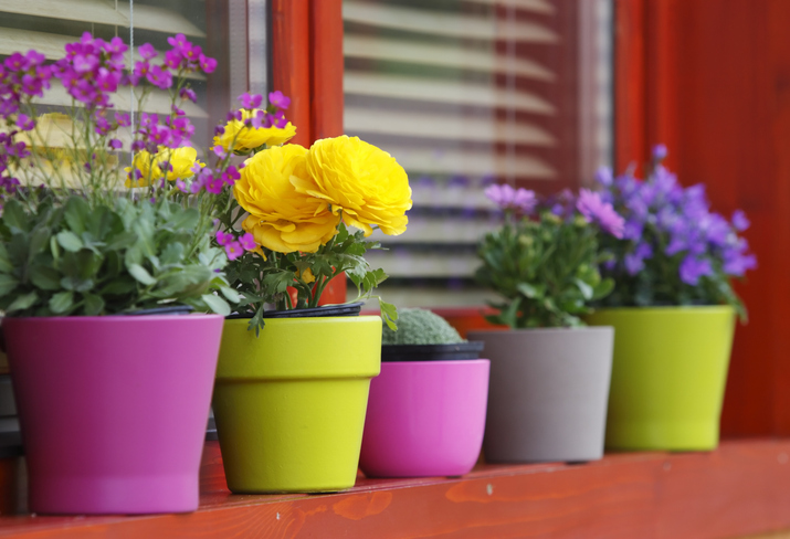 /media/News Article Images/garden-pots.jpg